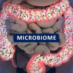 Disrupted Microbiome Can Cause Irritable Bowel Syndrome