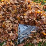 How to Prevent Back Pain During Fall Cleanup